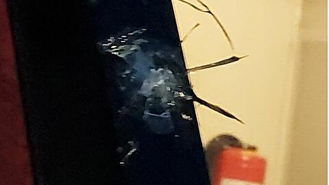 Der Einschlag ist deutlich zu sehen – der Zug fuhr mit rund 110 km/h, als der Stein die Frontscheibe traf.