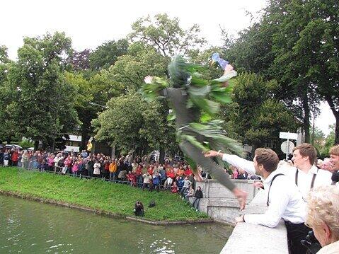 Der Wasservogel wird beim Wasservogelfest in den Schlosskanal geworfen.