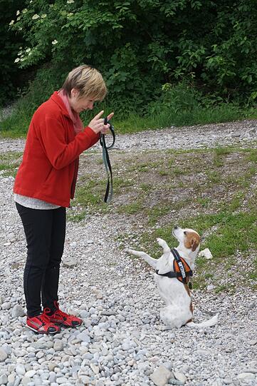 Merh Bilder vom Zamperl-Casting am Flaucher.
