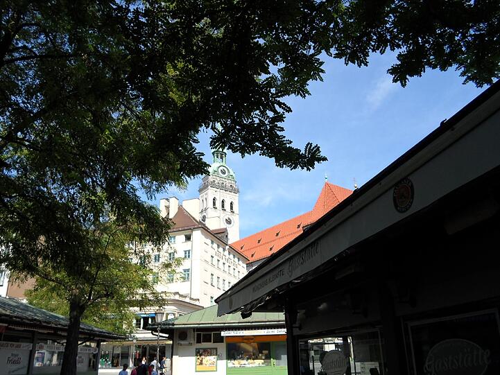 Wegen massiven Blattlaus-Befalls hat den Akazien am Viktualienmarkt bald das letzte Stündlein geschlagen.