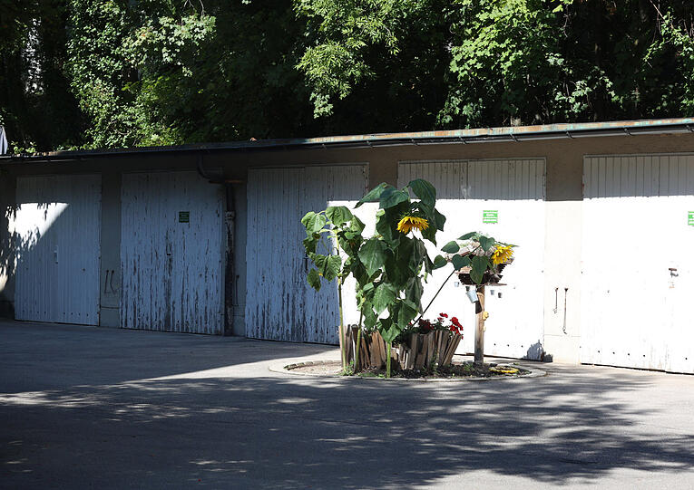 In der Pilgersheimer Straße: Mindestens einer kann hier nicht mehr in seine Garage – vielleicht aber Sonnenblumenöl für den Eigenbedarf herstellen.