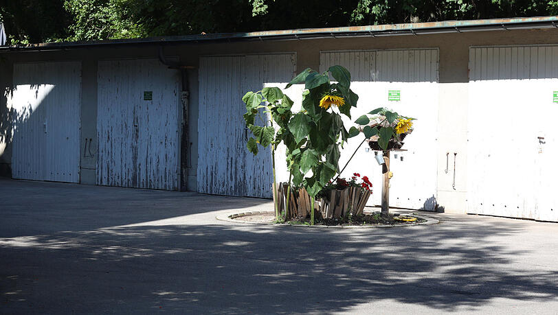 In der Pilgersheimer Straße: Mindestens einer kann hier nicht mehr in seine Garage – vielleicht aber Sonnenblumenöl für den Eigenbedarf herstellen. In der Pilgersheimer Straße: Mindestens einer kann hier nicht mehr in seine Garage – vielleicht aber Sonnenblumenöl für den Eigenbedarf herstellen.