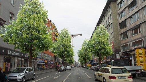 Die Schwanthalerstraße in Grün: Die Montage hat der Fotograf Franz Wickenhäuser bereits im vergangenen Jahr erstellt. Die Schwanthalerstraße in Grün: Die Montage hat der Fotograf Franz Wickenhäuser bereits im vergangenen Jahr erstellt.