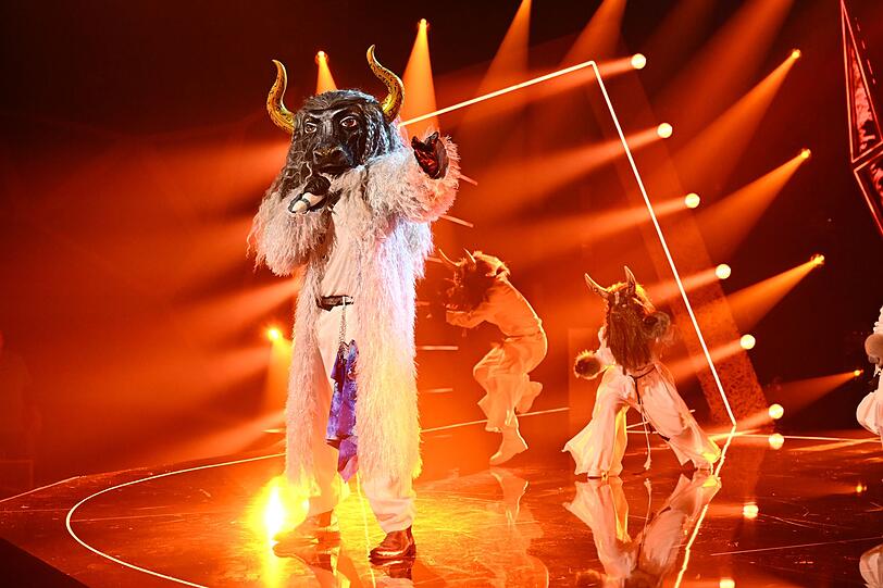 Und noch ein Banger! Fernando El Toro begeisterte das Saalpublikum mit der Partyhymne "YMCA". Und noch ein Banger! Fernando El Toro begeisterte das Saalpublikum mit der Partyhymne "YMCA".