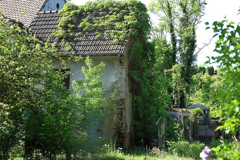 Wie aus einer anderen Zeit irgendwo auf dem Land und ganz sicher nicht in der Stadt: ein verwunschenes, eingewachsenes Häusl im Eggarten. Wie aus einer anderen Zeit irgendwo auf dem Land und ganz sicher nicht in der Stadt: ein verwunschenes, eingewachsenes Häusl im Eggarten.