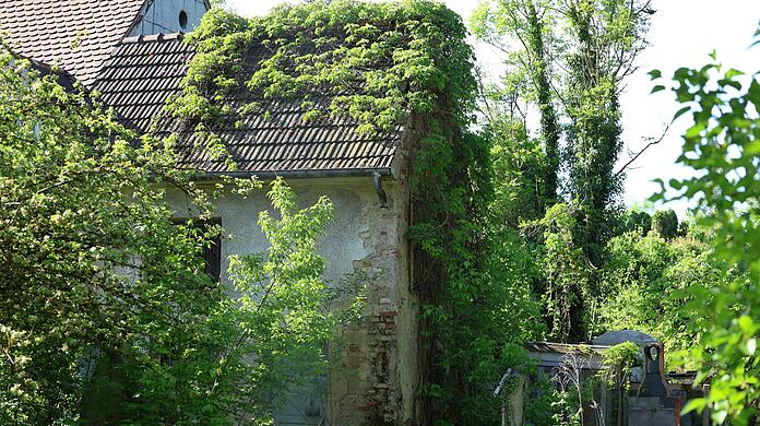 Wie aus einer anderen Zeit irgendwo auf dem Land und ganz sicher nicht in der Stadt: ein verwunschenes, eingewachsenes Häusl im Eggarten. Wie aus einer anderen Zeit irgendwo auf dem Land und ganz sicher nicht in der Stadt: ein verwunschenes, eingewachsenes Häusl im Eggarten.