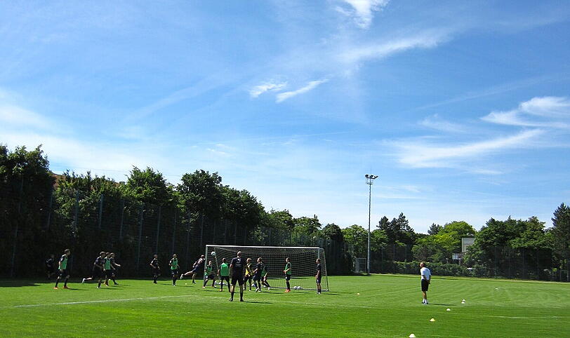 Doch zur Generalprobe vor dem Ligastart wollen die Löwen noch einen hochkarätigen Gegner organisieren