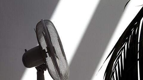 Ein Ventilator verschafft zumindest ein bisschen frische Luft bei Hitze.