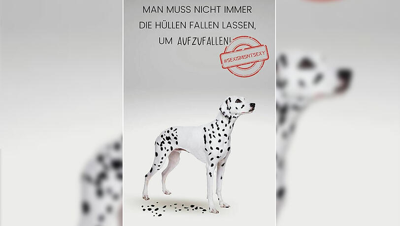 So schaut eines der Plakate aus. Aber was will es uns sagen?
