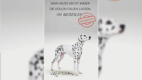 So schaut eines der Plakate aus. Aber was will es uns sagen?
