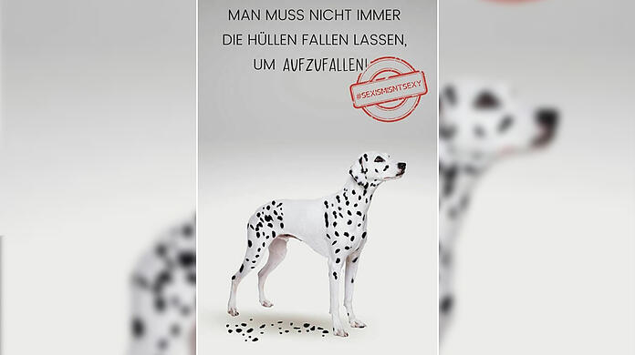 So schaut eines der Plakate aus. Aber was will es uns sagen?