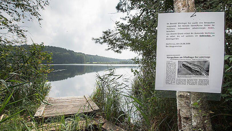 Warnschilder am See weisen auf die Schlange hin. Warnschilder am See weisen auf die Schlange hin.