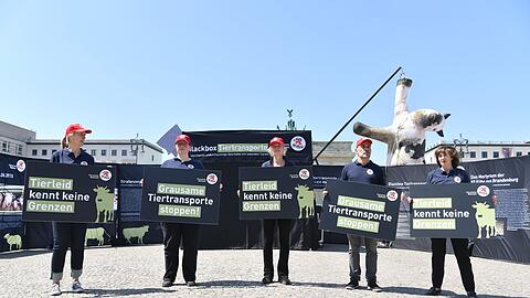 Die Aktivisten bezeichnen manche Tiertransporte als "Horrorfahrten".