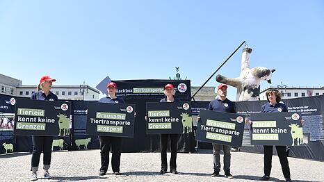 Die Aktivisten bezeichnen manche Tiertransporte als "Horrorfahrten".