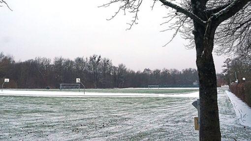 Die Trainingshalle (Bild oben) und der Sportplatz werden bald nicht mehr vom SV Weißblau-Allianz genutzt werden können.