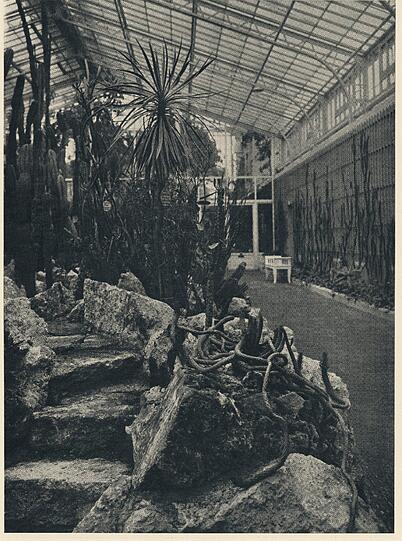 Im Zentrum des Laubengangs befand sich ein Pavillon, der unten offen war und als Unterstand gedacht war. Hier wurde dann das Café eingerichtet. Auf Vorschlag von Professor Karl von Goebel (1855-1932), dem Grunder und damaligen Direktor des Gartens, wurde dort bereits im Grundungsjahr ein kleiner Cafe- und Gaststattenbetrieb eingerichtet, da der Bau eines Cafes andernorts im Garten nicht genehmigt worden war. 
Auch heute noch befindet sich das Gartencafe in diesen zunachst als Unterstand bei Regen und Sonne gedachten, inzwischen durch Glaseinbauten geschlossenen Raumlichkeiten.