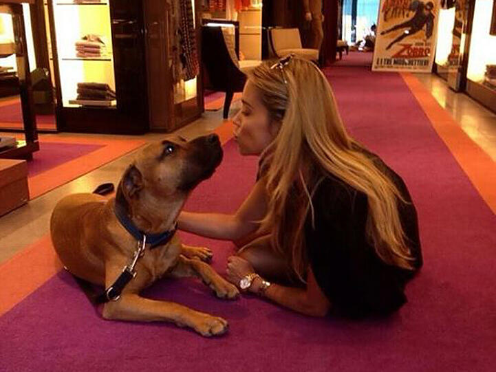 Sylvie Meis hat ihren Patenhund wieder