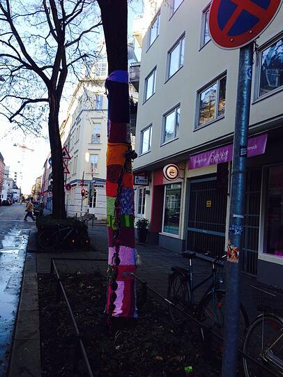 Der bestrickte Baum in der Klenzestraße.