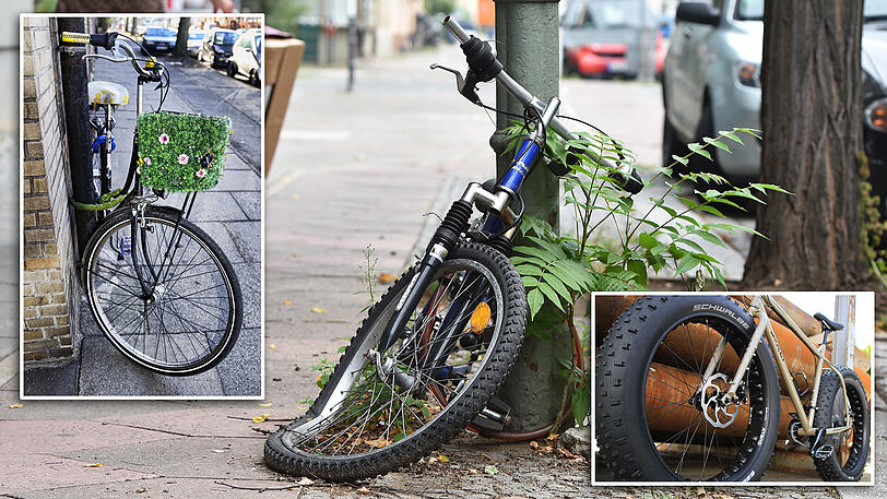 Fix, verträumt oder chronisch hinüber? Welches Radl passt am besten zu Ihnen?