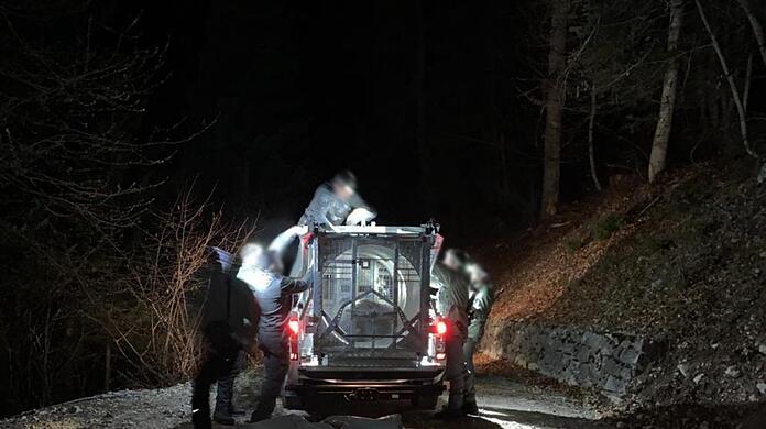 Mitarbeiter des Trentiner Forstkorps bereiten den Transport der Bärin vor.