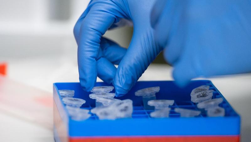 Der Coronavirus hat nun auch Auswirkungen auf den Sport. Der Coronavirus hat nun auch Auswirkungen auf den Sport.