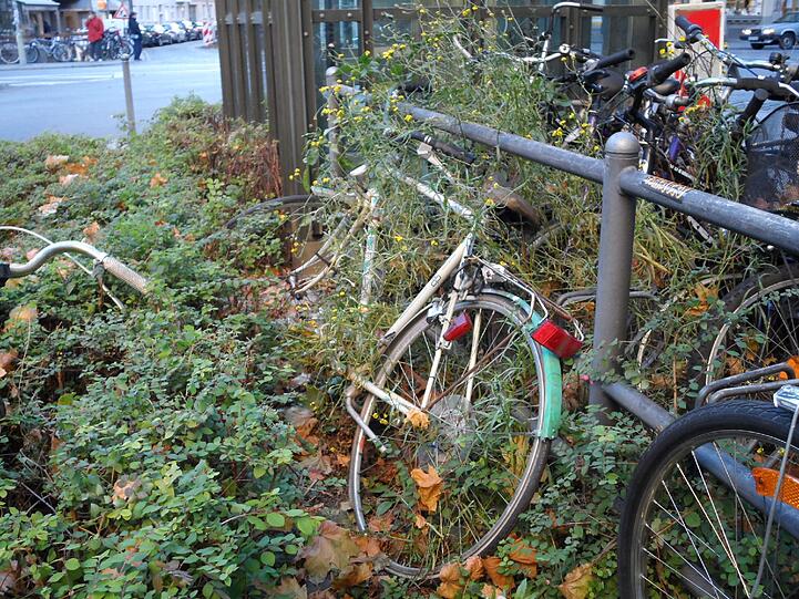 Dem Radl rechts daneben droht wohl in Kürze das selbe Schicksal.
