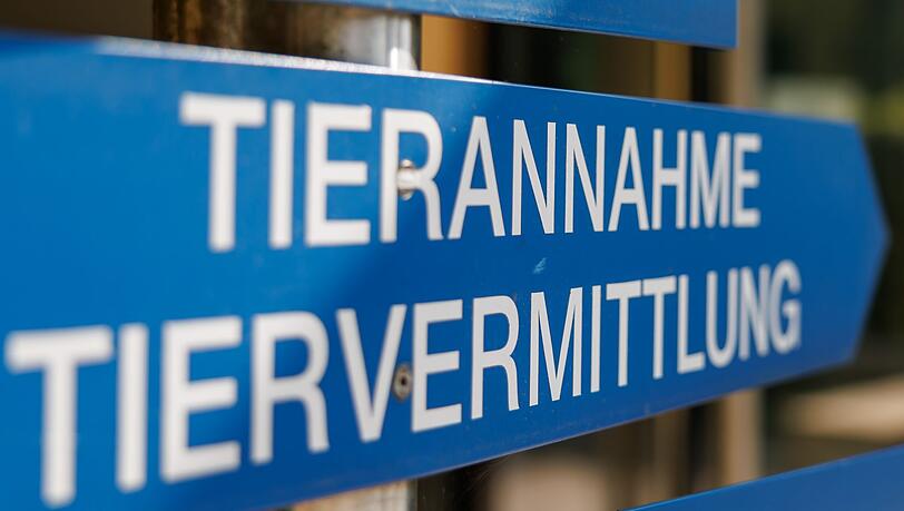 Im Tierheim Nürnberg wird ein Teil der gefundenen Tiere versorgt. (Archivfoto)