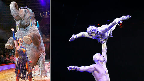 Jana Lacey-Krone (l.) bei der Premiere des zweiten Winterprogramms im Circus Krone. Im Internet werden Tickets hierfür teilweise vollkommen überteuert verkauft. Der Circus warnt davor auf seiner Webseite.