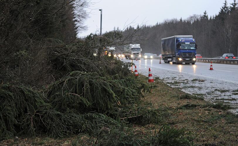 Bäume liegen am Donnerstag (05.01.2012) an der A8 bei Holzkirchen (Oberbayern) auf dem Grünstreifen. Orkan "Andrea" hat in den frühen Morgenstunden Bayern erreicht. Zahlreiche umgeknickte Bäume sind die Folge. Auf der A8 in Fahrtrichtung Salzburg musste aufgrund der umgestürzten Bäume eine Spur gesperrt werden.