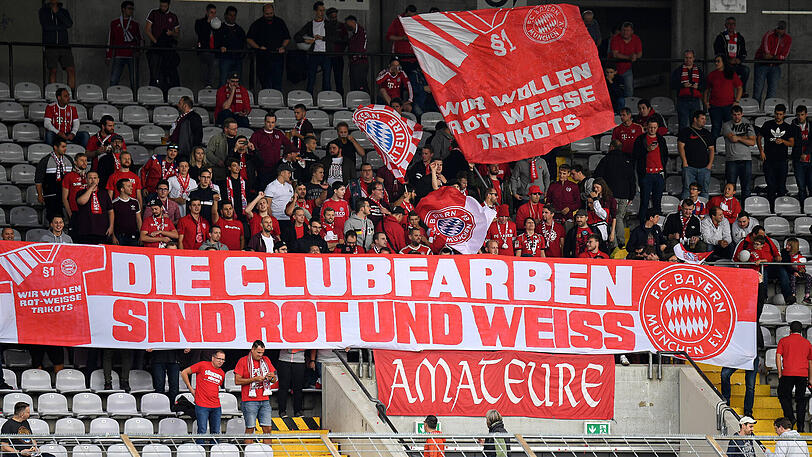 Klares Bekenntnis: Ultras des FC Bayern im Grünwalder Stadion.