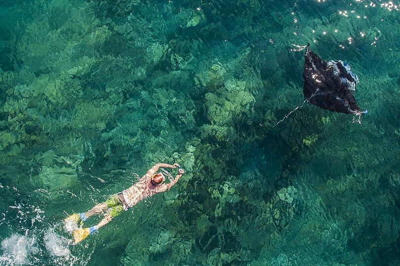 Der Taucher und der Manta, Yasawa Islands, Fiji.