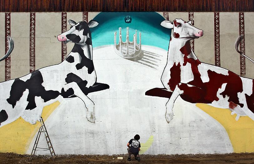 Der Münchner Graffiti-Künstler "Loomit" macht ein Landwirtschafts-Silo zum Kunstwerk.