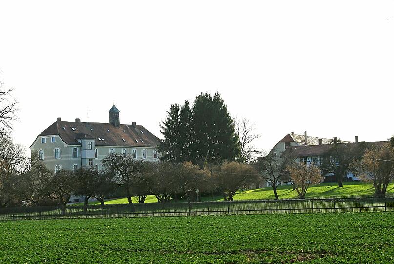 So schön grün ist es teils noch in Solln. Die CSU im Stadtrat verweist auf die wichtige Funktion der Gartenstädte.