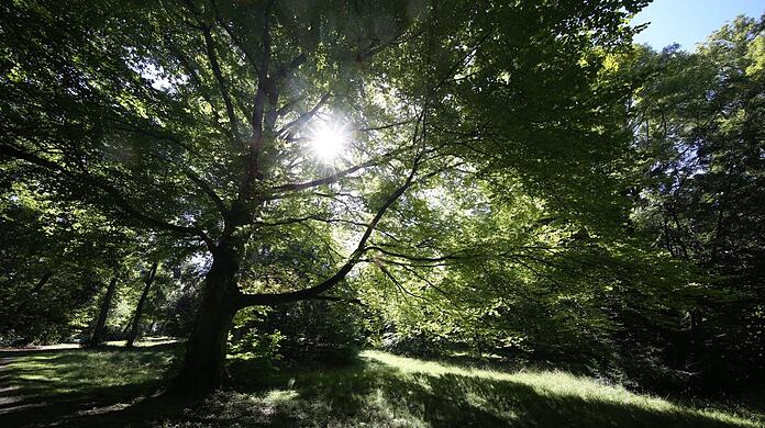 Der eigentliche Herzogpark ist ein echtes Kleinod.