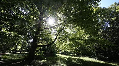 Der eigentliche Herzogpark ist ein echtes Kleinod.