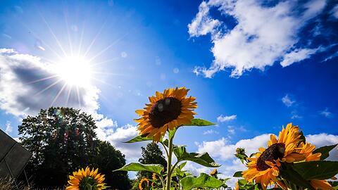 Die Sonne schien im Sommer 2025 oft vom Himmel. (Symbolbild)