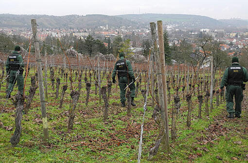 Polizisten suchen im Würzburger Ortsteil Heidingsfeld auf einem Feld nach Spuren. In der Nähe wurde die 62-Jährige entführte Frau geknebelt und gefesselt gefunden.