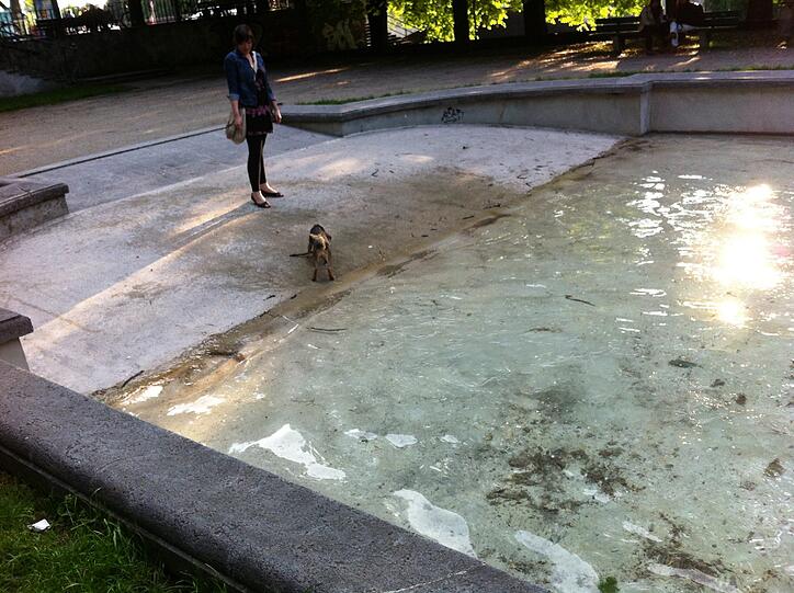 Sprung ins kühle Wasser, und schnell das Stöckchen holen...