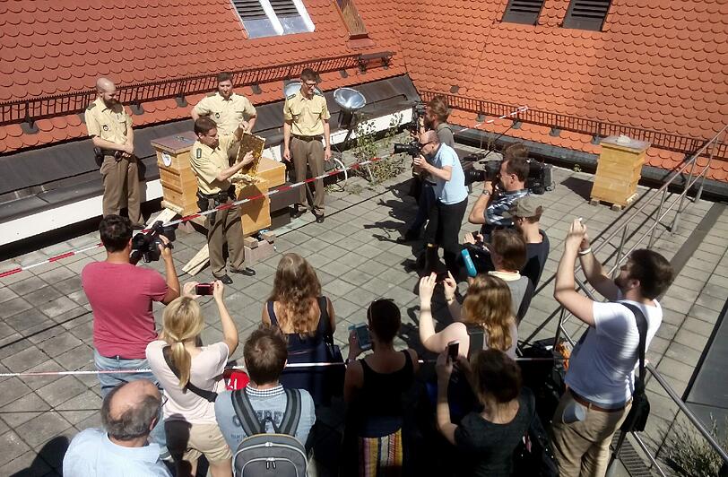 So viel Medienandrang gab es wohl noch nie auf der Dachterrasse des altehrwürdigen Gebäudes - "wenn es heiß und schwül wäre, wären die Bienen schlecht gelaunt und gereizt", erklärt Brandl. Heute geht's aber.