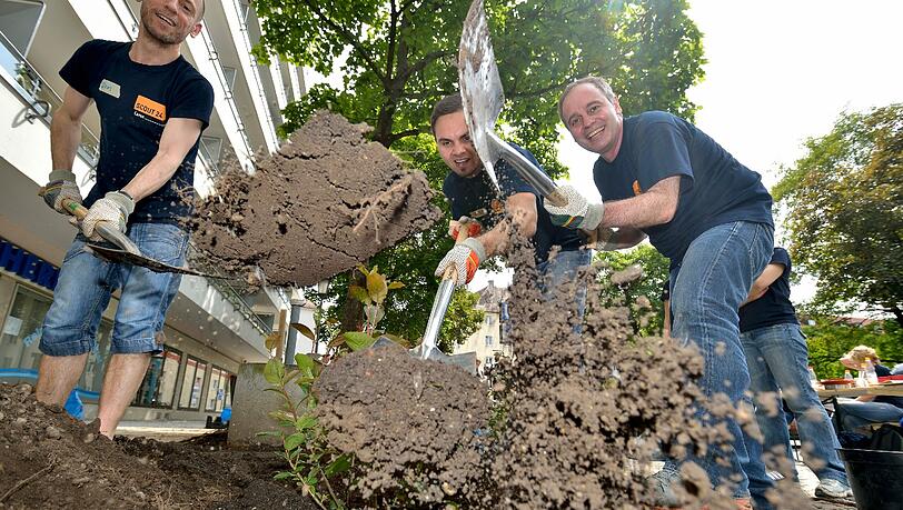 Jetzt werden die Krokusse gepflanzt, dann müssen sie den ganzen Winter in der Erde schlummern - damit sie im Frühling blühen können. Jetzt werden die Krokusse gepflanzt, dann müssen sie den ganzen Winter in der Erde schlummern - damit sie im Frühling blühen können.
