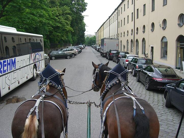 Beim Hoffest der Landwirtschaftsministeriums am vergangenen Wochenende war einiges geboten. AZ-Leser Jürgen Heusser hat Fotos gemacht. Klicken Sie sich durch die Bilderstrecke...