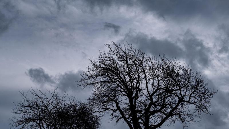 Dunkle Regenwolken sind über einem Feld bei Hattendorf in Niedersachsen zu sehen. Dunkle Regenwolken sind über einem Feld bei Hattendorf in Niedersachsen zu sehen.