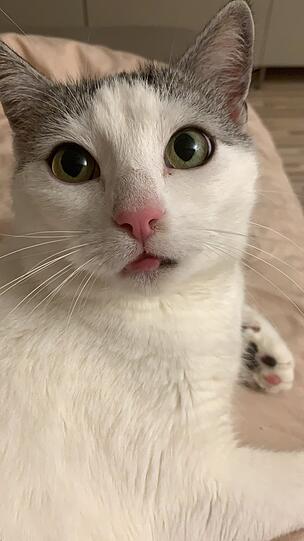 Jerome
