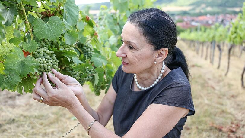 Winzermeisterin Elke R&ouml;der setzt seit Jahrzehnten auf alkoholfreien Wein. (Archivbild)