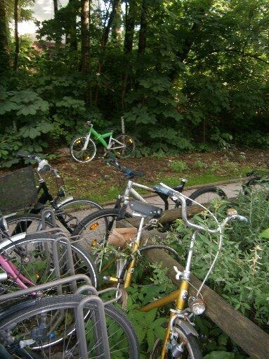 ... so wie zum Beispiel hier vergangenes Jahr im Sommer in diesem Radl-Dschungel
