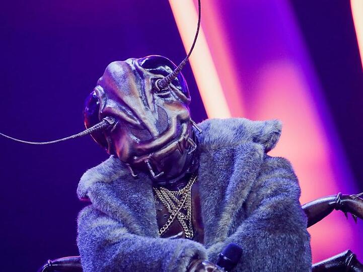 Musiker Angelo Kelly als die Figur "Die Kakerlake" in der ProSieben-Show "The Masked Singer". Foto: Rolf Vennenbernd/dpa/Archivbild