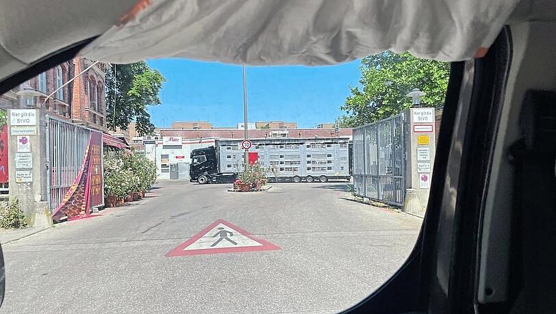 Ein Tiertransporter steht in der prallen Sonne auf dem Schlachthofgel&auml;nde, fotografiert aus dem Auto der Tiersch&uuml;tzer.