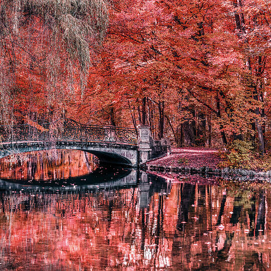 Am Großen See im Nymphenburger Schlosspark.