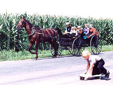 Auf den Farmen der Amish können Urlauber mit anpacken