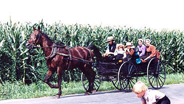 Auf den Farmen der Amish können Urlauber mit anpacken Auf den Farmen der Amish können Urlauber mit anpacken